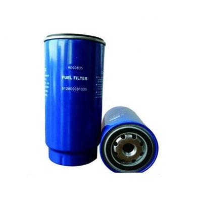 TT Westernunion Zahlungsfrist Kraftstofffilter 612600081335 für die Hydwell-Versorgung