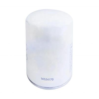 Hotels Ölfilterelement P556005 3609567M1 62200AF M6653336 44524014 0850261 D114955