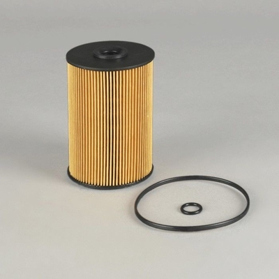 Andere Fahrzeuggeräte EF-1301 Kraftstofffilter FF5733 B222100000701 EF-1301