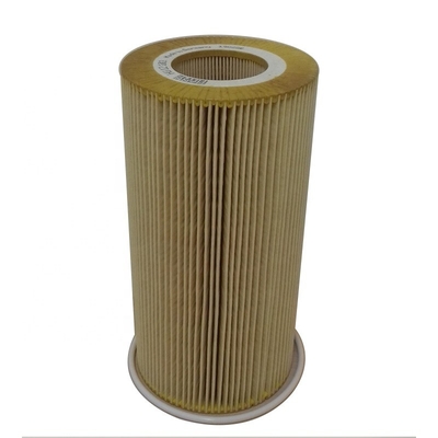 Autoantriebsteile Schmierölfilter E89HD213 1629393 1643070 LEF5207 P550812 LF16233