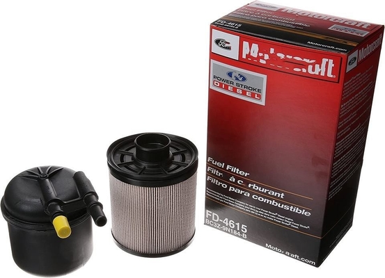 Kraftstofffilter-Element-Kit FD-4615 FD-4616 FD-4617 QEM P550815 8C3Z9N184 für das Weltjahr