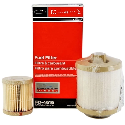 Kraftstofffilter-Element-Kit FD-4615 FD-4616 FD-4617 QEM P550815 8C3Z9N184 für das Weltjahr