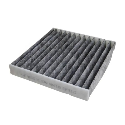 Kabinenluftfilter für CF10285 CP285 SC 8118 1987432190 CU1919 ACE185
