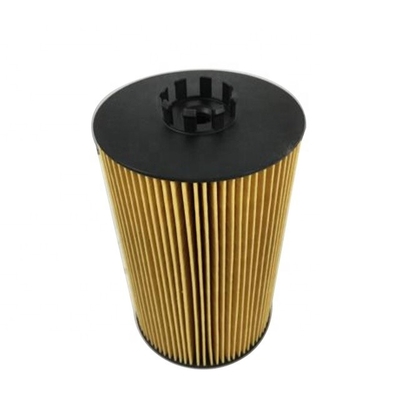 P550820 Hydrowell-Motorteile Schmierstofffilterelement 11110427 51055040107 20998807 2596171C91