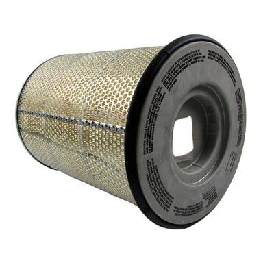 Kleidungsgewerbe Luftfilter RS4966 21834199 8149064 AF25631