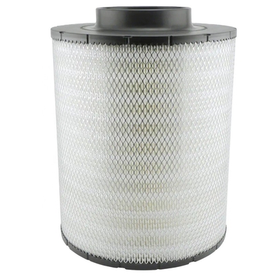 Maschinenbau- und Maschinenbau-Motor Luftfilter B125003 PA2821 Ah19042 Ecb105012 für Hydwell