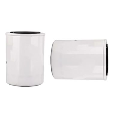 1000395855 WB202G Ölfilter für Dieselmotoren innerhalb von Hydwell