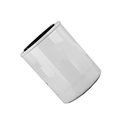 1000395855 WB202G Ölfilter für Dieselmotoren innerhalb von Hydwell