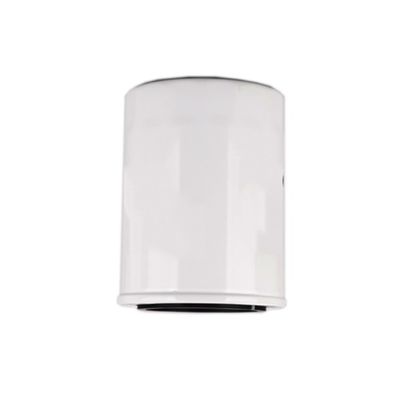 1000395855 WB202G Ölfilter für Dieselmotoren innerhalb von Hydwell