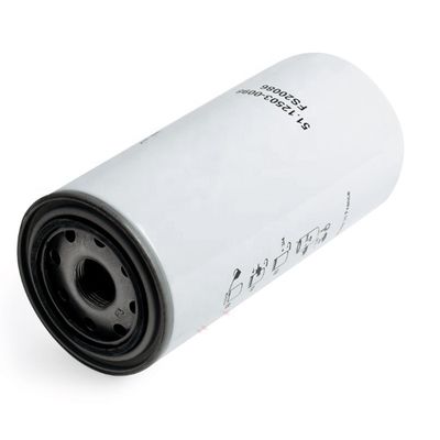 Andere Anwendungen 51.125030098 E422KP03 Kraftstofffilter für 95*203mm-Traktoren