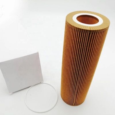 2037556 2022275 1742037 1742032 LF17486 Filterpapier und Eisen für Teile von Lkw-Motoren