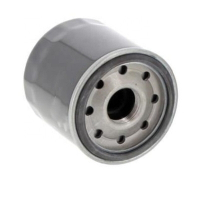 Ölfilter P502042 IO3319 IO3322 91521 1534300 OIL041 C1562 8973713340