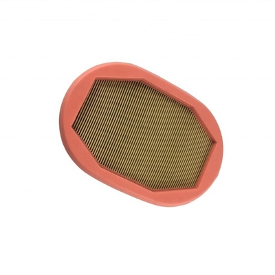 207.8*240*43.4 Hydwell Luftfilter P785965 2277449 2934053 AF26248 mit T/T Zahlung
