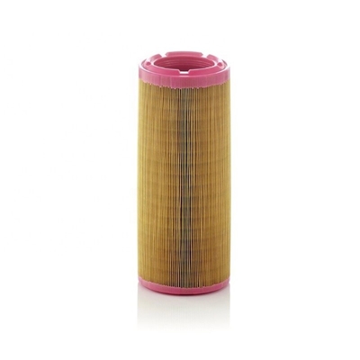 Lkw-Teile, Motorluftfilterelement C131452 P822768 1310030160 133720A1 2617237011 11711494