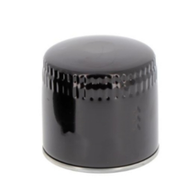 Fahrzeugteile Ölfilter P550939 15208BN30A 72161316 92319 1504140 148459 2630795 AM38441 110200