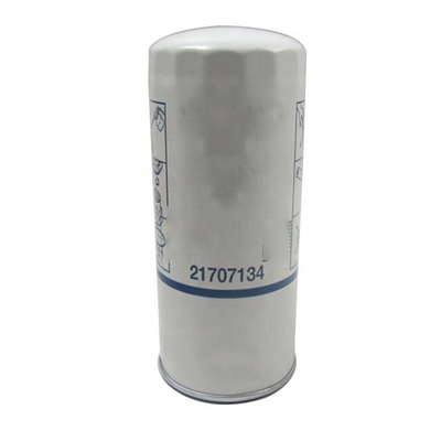 21707134 Auto-Motoren Teile Ölfilter P550519 P550519 873 3A11555 VOE4666343 1216400551 GM25504