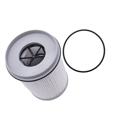 Filterelement für den Treibstoffwassertrennstoff FS20176 R61709 DDER61709 PF46235 P552709 für FREIGHTLINER