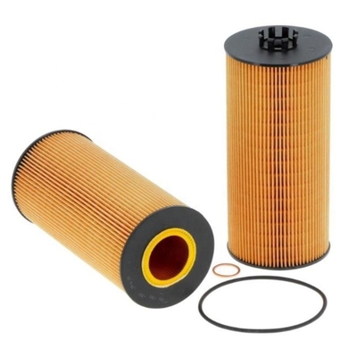 Traktor Dieselmotoren Teile Ölfilter E175HD129 P550769 1420640 2240181 CH9558 L55960