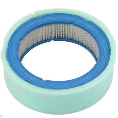 Lkw-Luftfilter für P530628 3I1779 LG394018 27151001 394018 Ersetzen/Reparatur