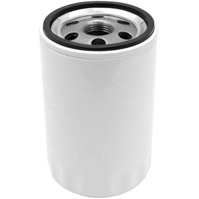 Schmierölfilter für Traktor-Dieselmotoren Teile 01182001 P764896 6005028849 5112300759 363031