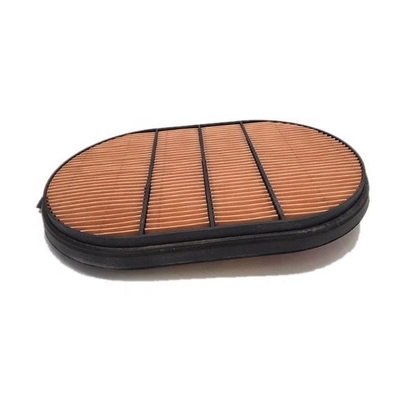 Luftfilter für Lkw-Motoren P608667 P607557 für Industriefahrzeuge