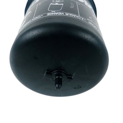 Kraftstofffilter OE NO. 1922496PE für Lkw-Filter für Autoteile