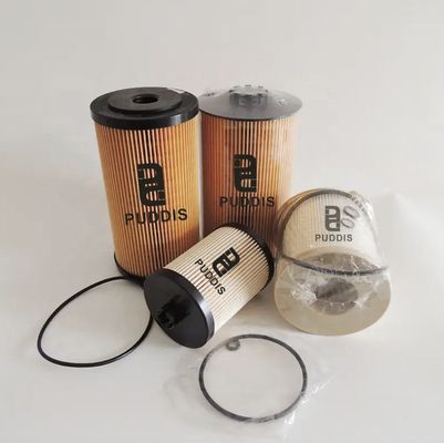 68197867AA 68157291AA FS20089 Dieselbrennstofffilter für Dodge Ram 6,7L Cummins Lkw