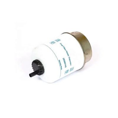 Kraftstofffilter für Lkw P551429 3780299M1 95547 32925610 5198966 FS550399 836659300 26560920 701040A1