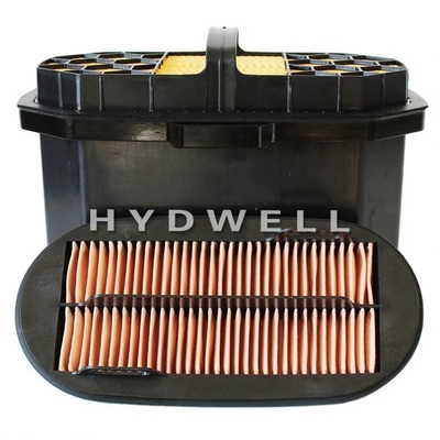 Luftfilter für Lkw-Dieselteile 4798989 4798991