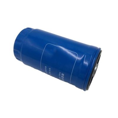 Kraftstofffilter 612600080248 1180392 13020488 1000700909 1000700909 Standardgröße