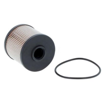 7983180 Kraftstofffilter P55063 221899 44012612 7030876 3328573 PP2280800 FF550632 59055 901551 LX672D