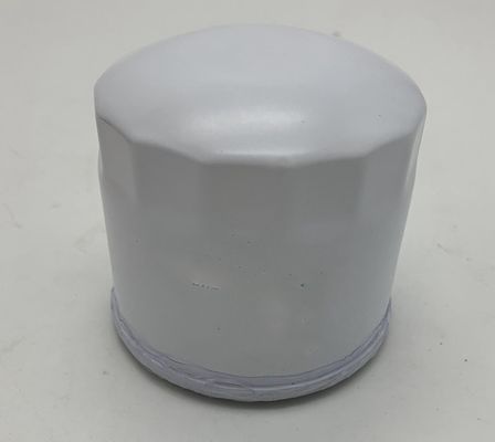 Direkt verkaufen W950121010 Dieselmotoren Teile Kraftstofffilter für Lader-Traktor