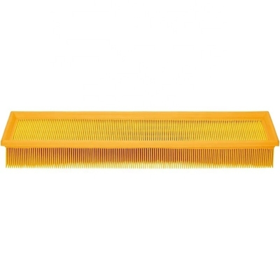 Hydwell-Filter Papier-Luftfilter für Lkw-TraktorenDieselmotoren Teile L38596 SC90045