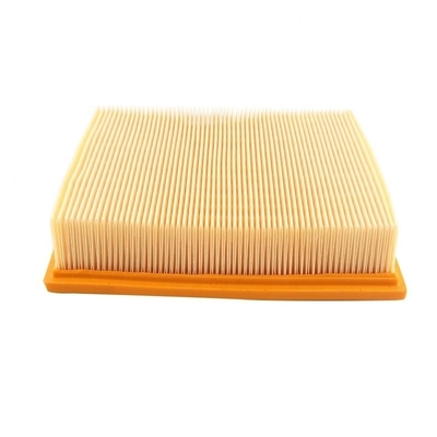 Kabinenluftfilter für Traktormotoren Dieselteile 8143691 P782811 AF782811 PF15441 1533846 2242086