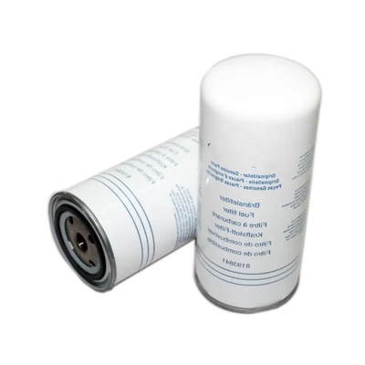 Kraftstofffilter für Traktor-Dieselmotoren Teile 8193841 P550372 4406213 52637078 14403813 F65910